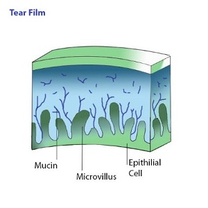 Película Lacrimal